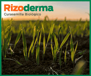 Rizobacter - Rizoderma 300X250